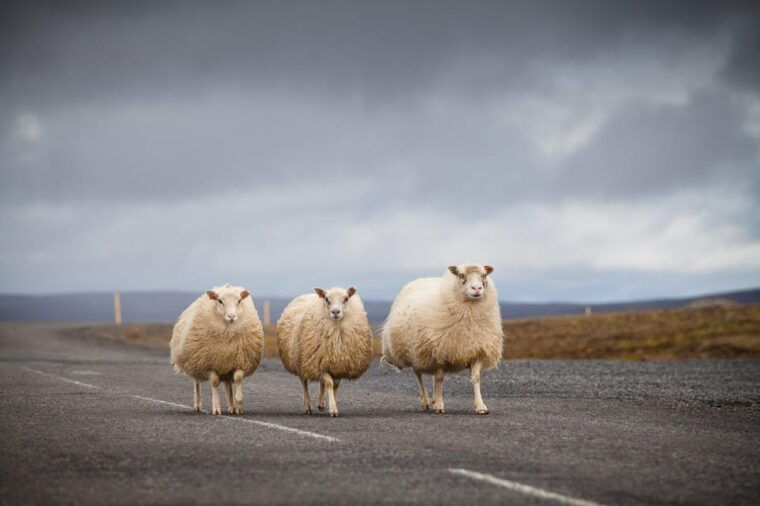 iceland-express-circle-6-day-self-drive