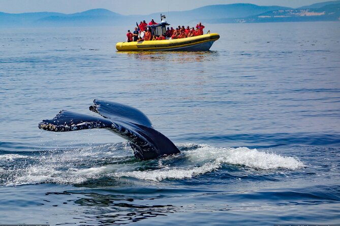 iceland-see-experience-it-all-in-9-days-1st-class-custom-tours