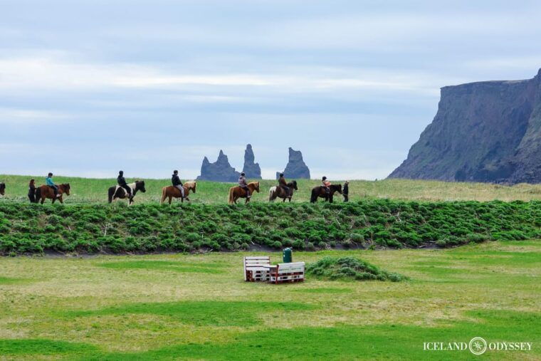 iceland-south-coast-and-glacier-hiking-in-small-group