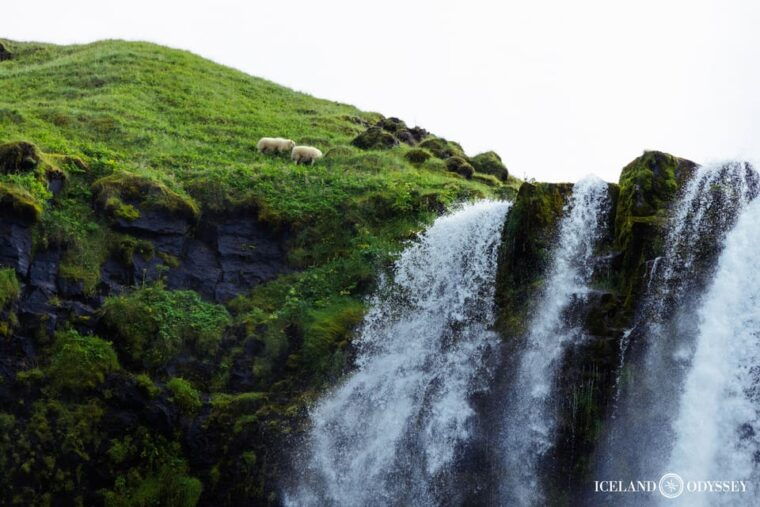 iceland-south-coast-and-glacier-hiking-in-small-group