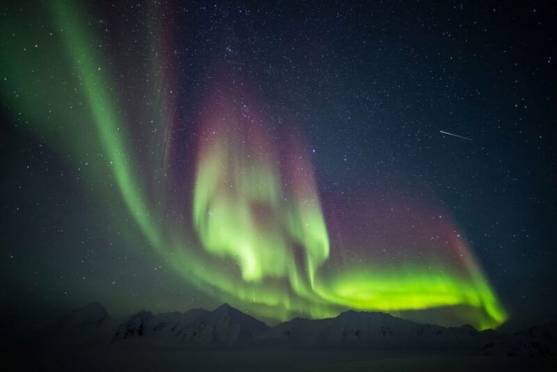 iceland-south-coast-and-northern-lights-tour
