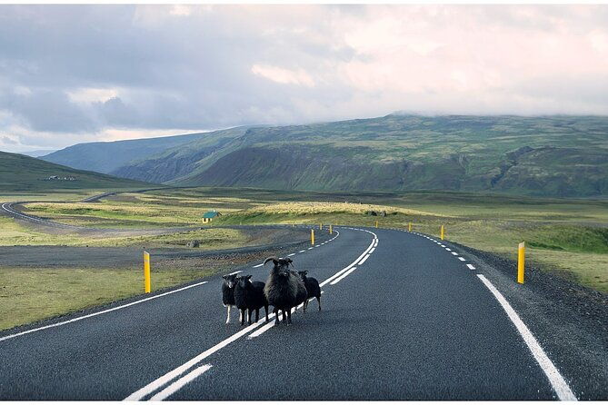 iceland-south-coast-tour-with-pickup