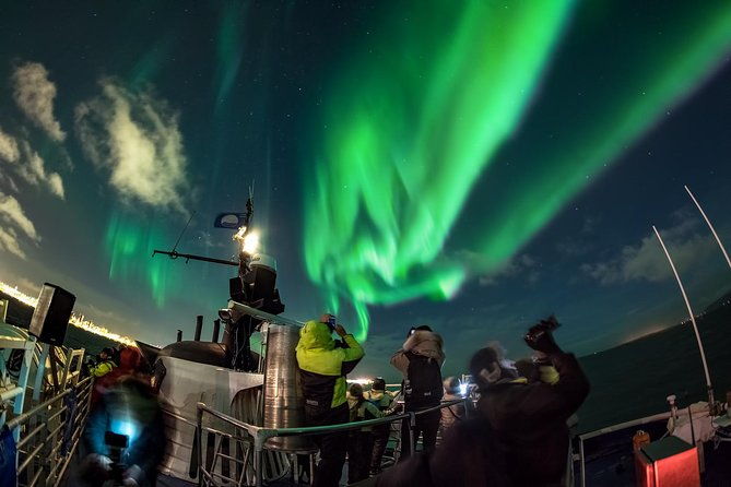 iceland-super-saver-northern-lights-cruise-plus-whale-watching-tour-from-reykjavik