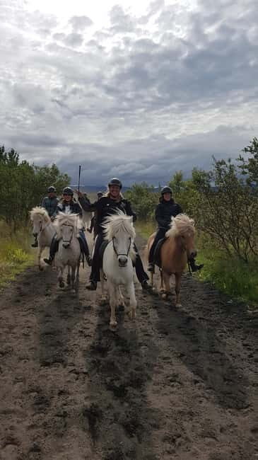 Iceland: Volcanic Landscape Horse Riding Tour - Exploring the Icelandic Horse Riding Experience in Depth