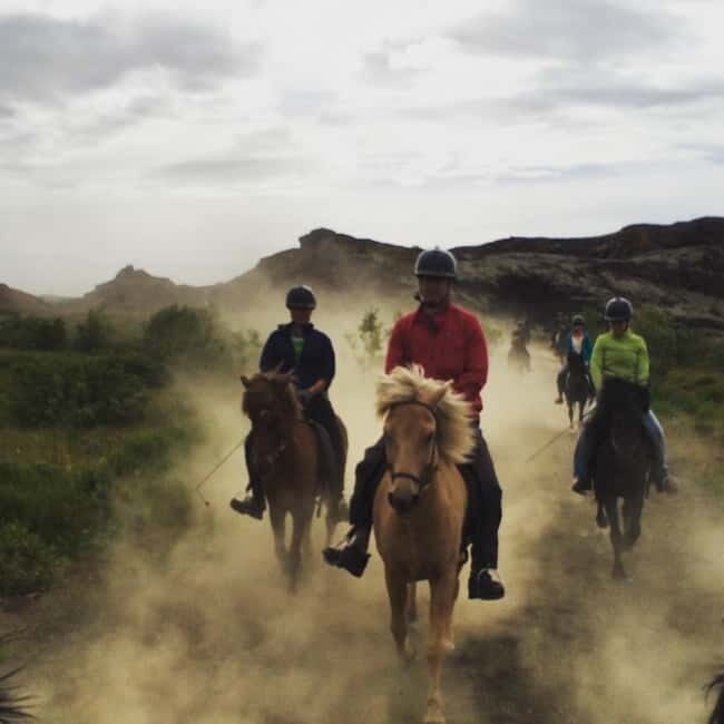 Iceland: Volcanic Landscape Horse Riding Tour - In summary