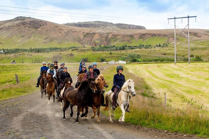 icelandic-horse-riding-and-whale-watching-cruise-from-reykjavik