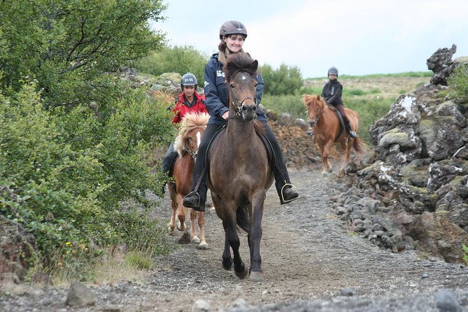 icelandic-horseback-riding-tour-from-reykjavik