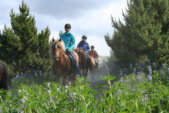 icelandic-horseback-riding-tour-from-reykjavik