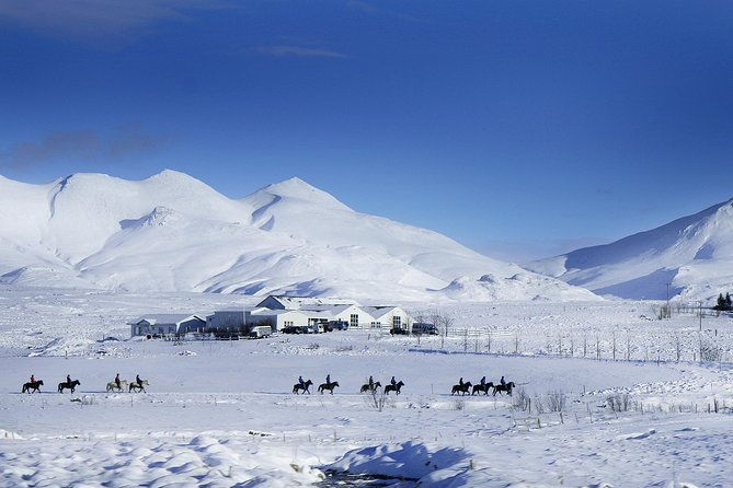 icelandic-horseback-riding-tour-including-pick-up-from-reykjavik