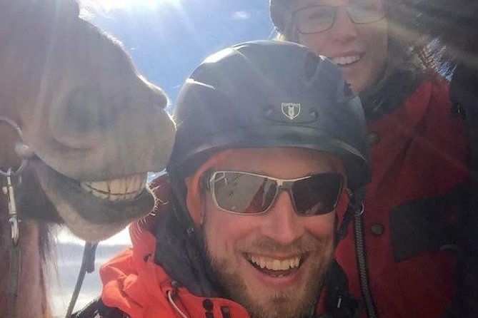 icelandic-horseback-riding-tour-including-pick-up-from-reykjavik