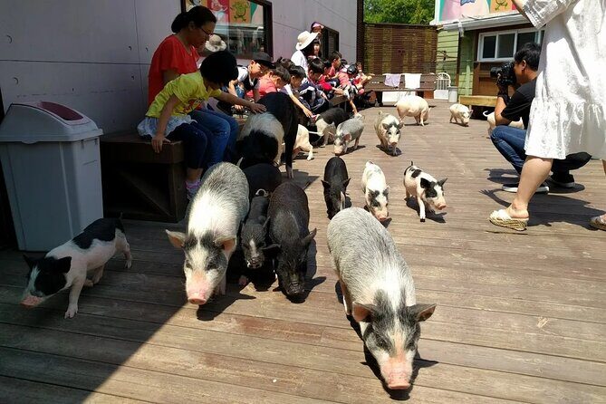 Icheon Mountain Hiking & Culture Tour - Key Points