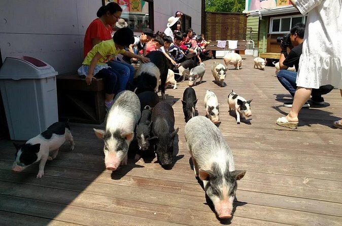 Icheon Mountain Hiking & Culture Tour - Final Thoughts: Who Will Love This Tour?