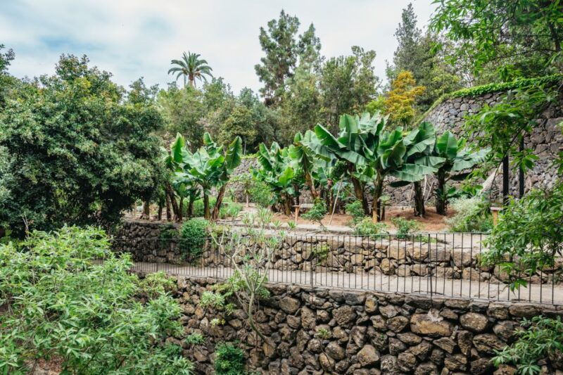 icod-de-los-vinos-dragon-tree-botanical-garden-ticket
