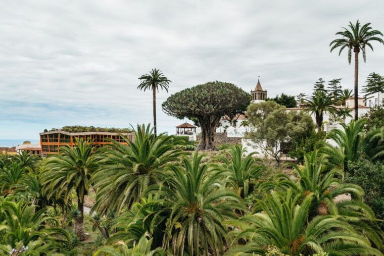 icod-de-los-vinos-dragon-tree-botanical-garden-ticket