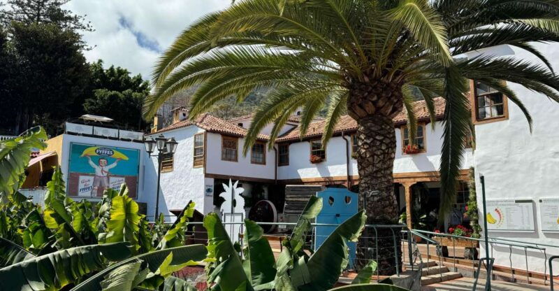 icod-de-los-vinos-house-of-the-banana-entry-ticket