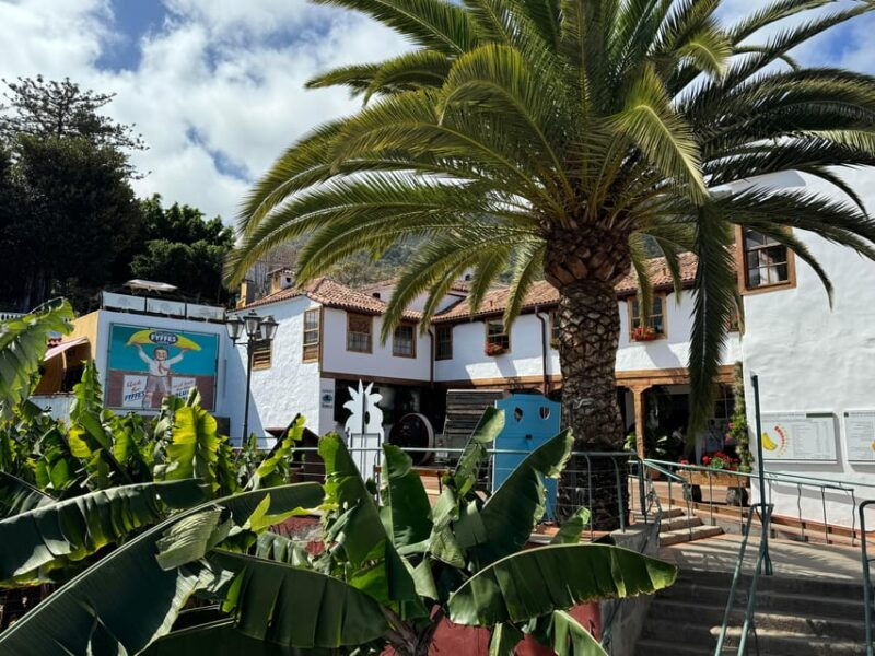 icod-de-los-vinos-house-of-the-banana-entry-ticket
