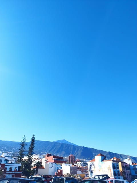 icod-de-los-vinos-walking-route-1h30