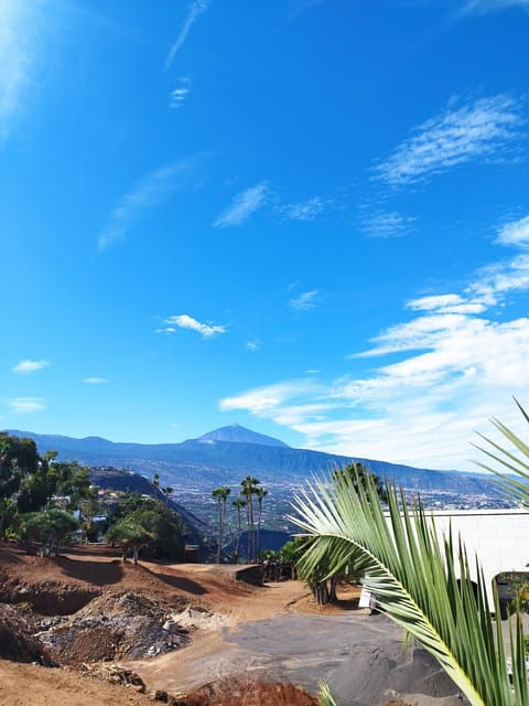 icod-de-los-vinos-walking-route-1h30