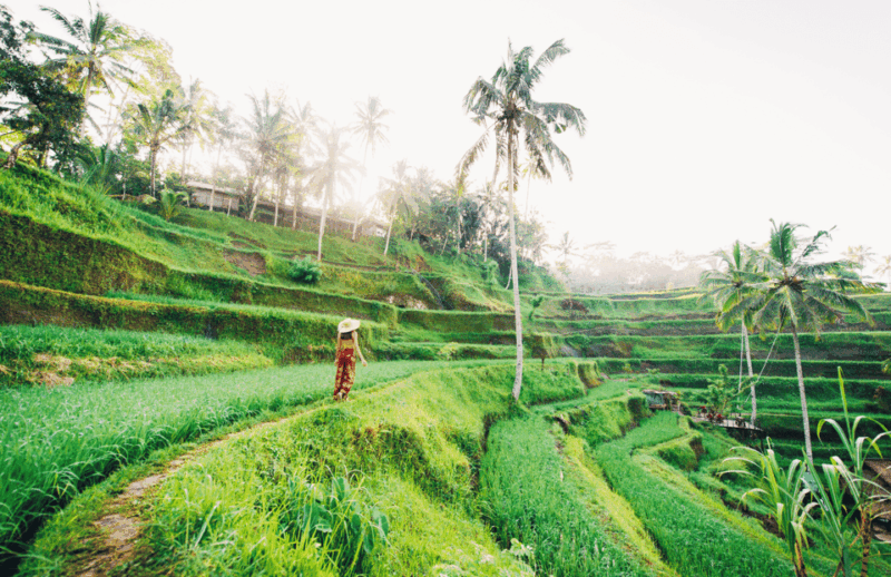 iconic-bali-day-tour-best-photo-spots-and-experiences