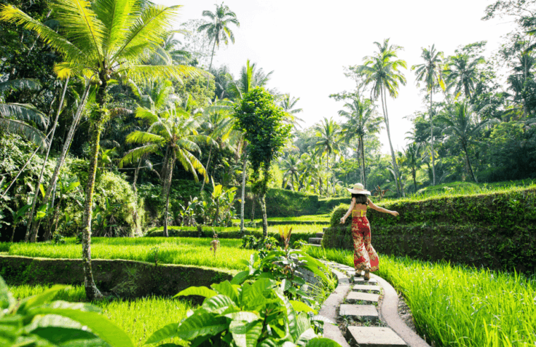 iconic-bali-day-tour-best-photo-spots-and-experiences