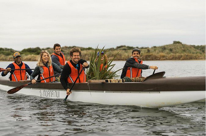 Iconic Dunedin Coastal Tour by Minibus with Maori Cultural Walk - Practical Tips & Considerations