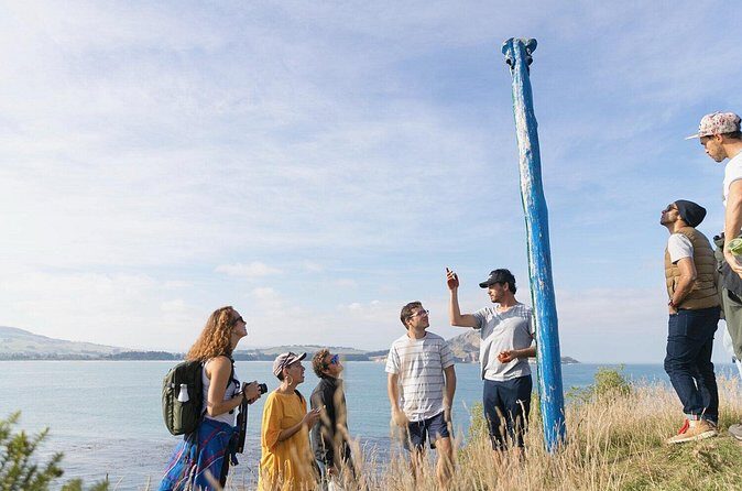 Iconic Dunedin Coastal Tour by Minibus with Maori Cultural Walk - Who Is This Tour Best For?