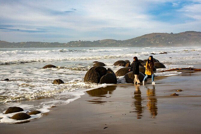 Iconic Dunedin Coastal Tour by Minibus with Maori Cultural Walk - Final Thoughts
