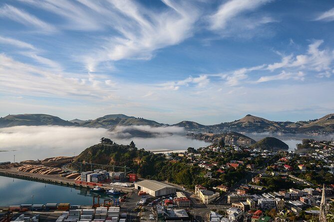 Iconic Shore Excursion: Dunedin City Highlights Tour - Key Points