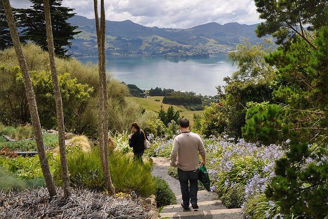 Iconic Shore Excursion: Iconic Larnach Castle Tour - Discovering Dunedin: The Full Itinerary Breakdown