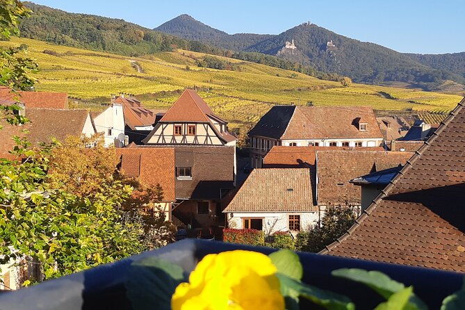iconics-tour-1-2-day-on-the-wine-route-visit-of-2-villages-tasting