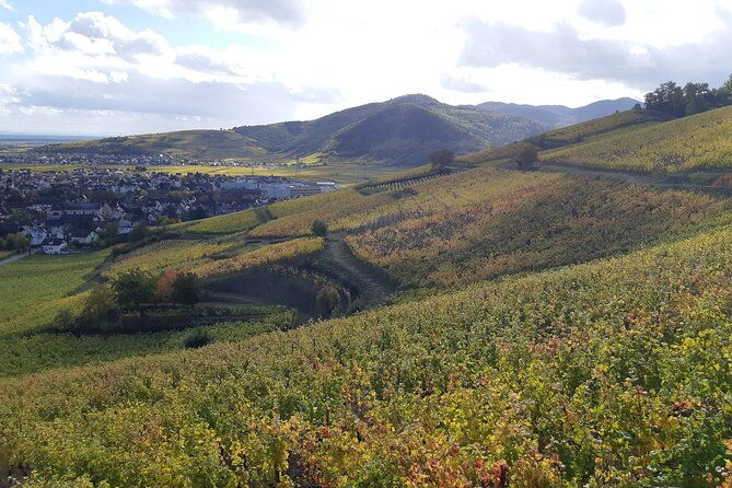 iconics-tour-1-2-day-on-the-wine-route-visit-of-2-villages-tasting