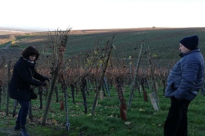 iconics-tour-1-2-day-on-the-wine-route-visit-of-2-villages-tasting