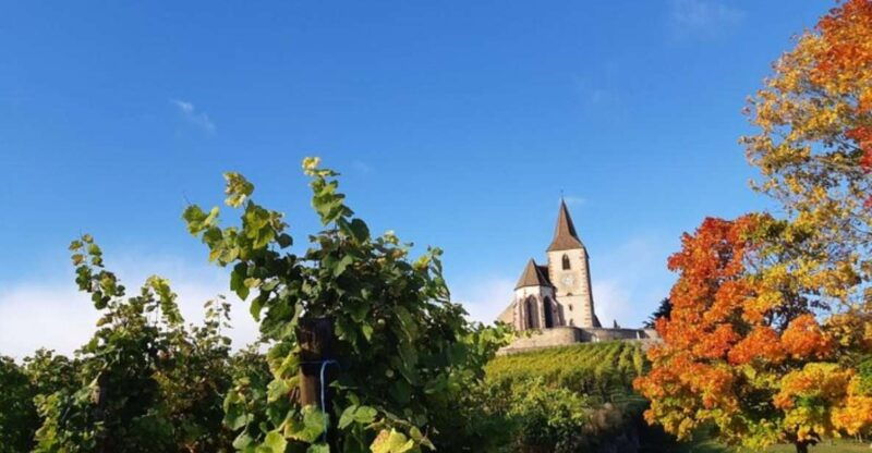 iconics-typical-villages-haut-koenigsbourg-castle