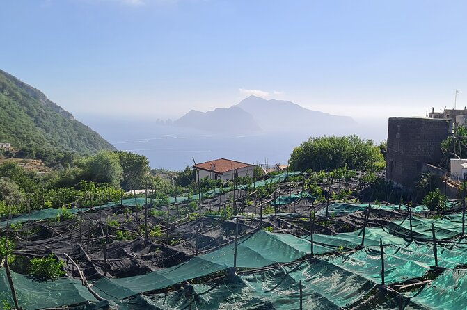 ieranto-bay-hike-and-swim-amalfi-sorrento-coast