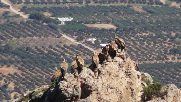 ierapetra-eastern-crete-nature-jeep-driving-tour