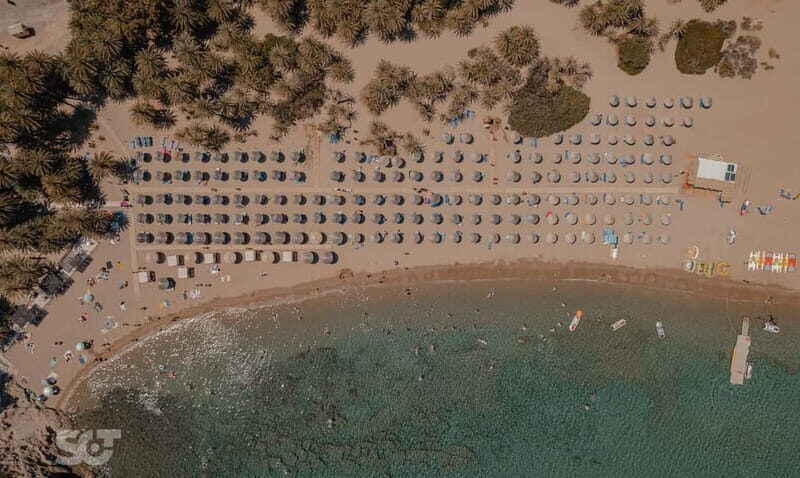 Ierapetra-Makrigialos: Vai Palm Beach, Moni Toplou & Sitia - What’s Included & What to Consider