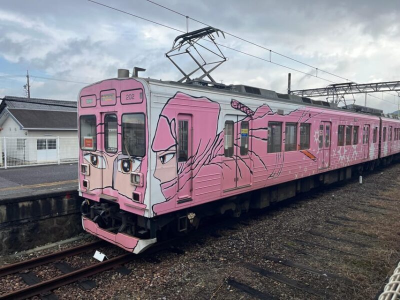 Iga: Full-Day Private and Unique Guided Ninja Experience - A Complete Breakdown of the Ninja Day in Iga