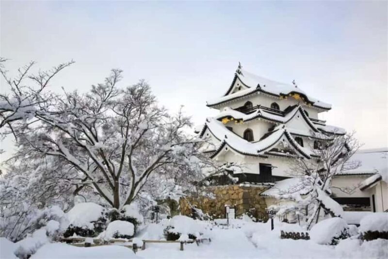 Iga: Lake Biwa Architecture & Miho Museum Day Trip Osaka - Key Points