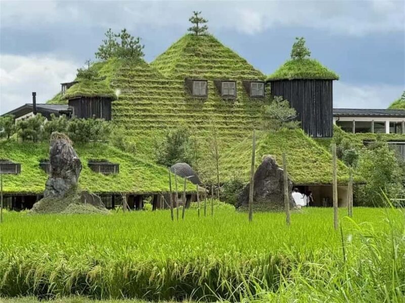 Iga: Lake Biwa Architecture & Miho Museum Day Trip Osaka - Who Would Enjoy This Tour?