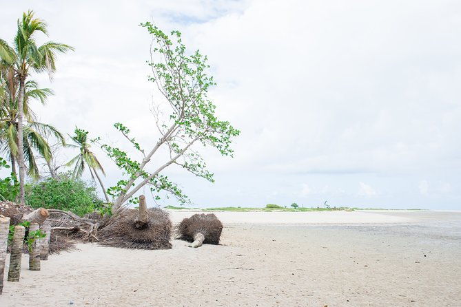 igarassu-and-itamaraca-island-tour
