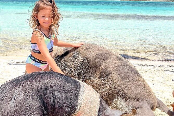 iguanas-sharks-swimming-pigs-exuma-private-tour-8hrs