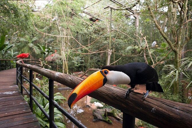 iguassu-falls-private-tours