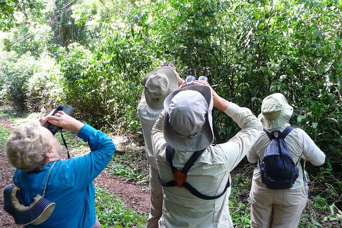iguazu-expeditions-morning-birdwatching