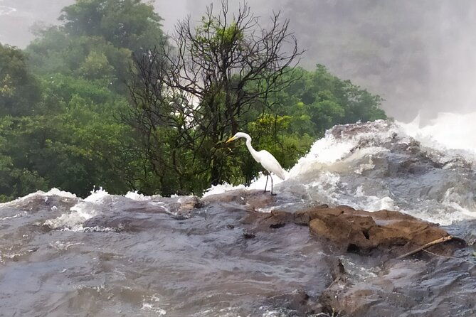 iguazu-falls-adventure-discover-two-countries-in-one-day