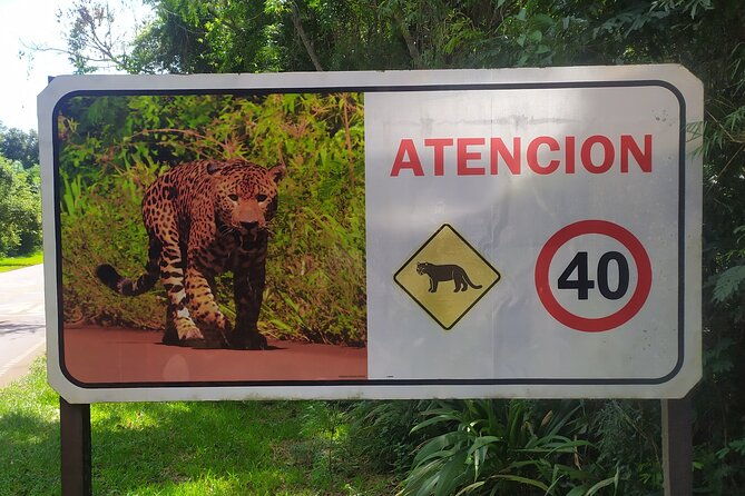 iguazu-falls-adventure-discover-two-countries-in-one-day