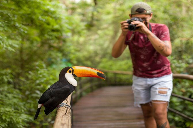 iguazu-falls-brazilian-side-bird-park-from-puerto-iguazu