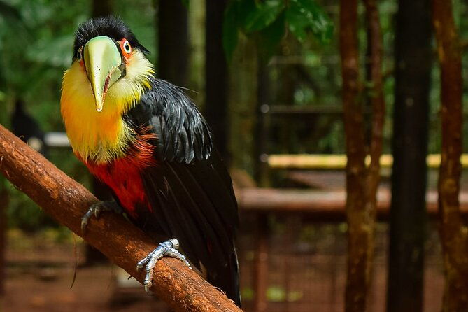 iguazu-falls-full-day-tour-argentine-side-with-optional-brazilian-falls