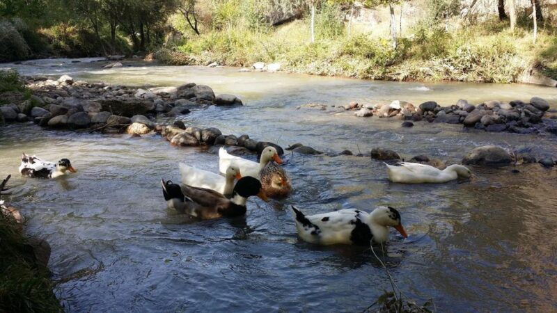 ihlara-valley-full-day-hiking-tour-with-expert-guide
