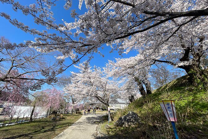 Iiyama Castle Cherry Blossom and Nozawa Onsen Morning Tour - An In-Depth Look at the Tour Itinerary