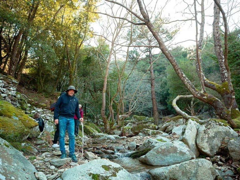 Ikaria, Hike Randi's Forest, Swim at Seychelles & Lunch - The Details that Matter